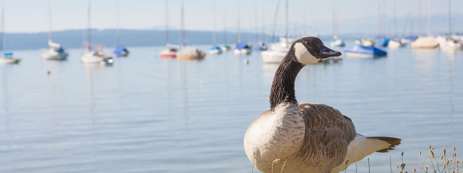 Ferienappartement Belle