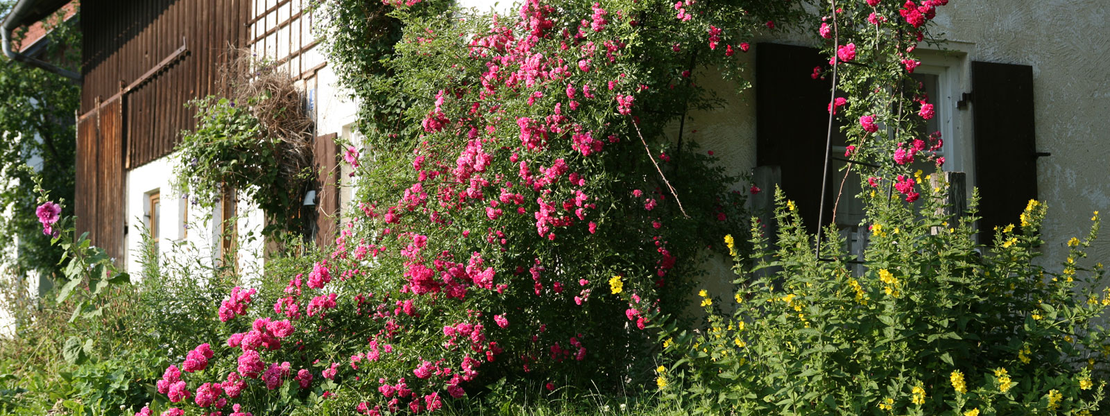 Raisting am Ammersee